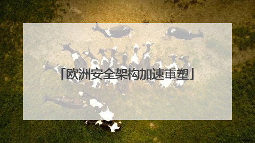 欧洲安全架构加速重塑