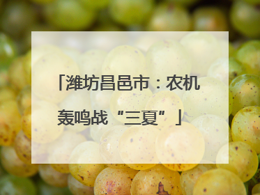 潍坊昌邑市：农机轰鸣战“三夏”