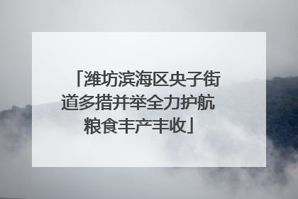 潍坊滨海区央子街道多措并举全力护航粮食丰产丰收