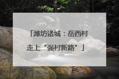潍坊诸城：岳西村走上“强村新路”