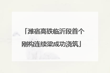 潍宿高铁临沂段首个刚构连续梁成功浇筑