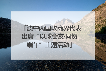 澳中两国政商界代表出席“以球会友·同贺端午”主题活动