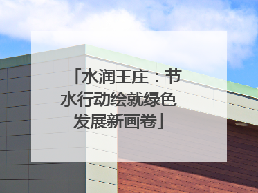 水润王庄：节水行动绘就绿色发展新画卷