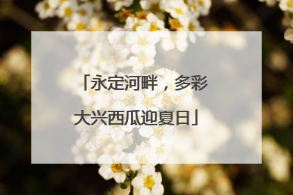 永定河畔，多彩大兴西瓜迎夏日
