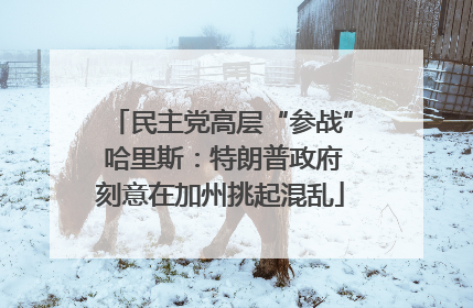 民主党高层“参战” 哈里斯：特朗普政府刻意在加州挑起混乱