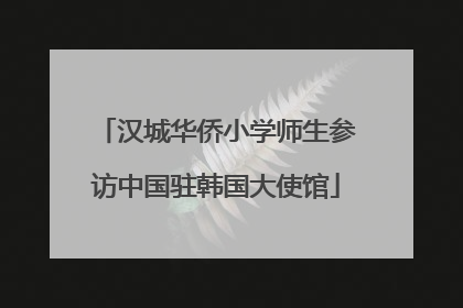 汉城华侨小学师生参访中国驻韩国大使馆