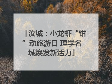 汝城：小龙虾“钳”动旅游日 理学名城焕发新活力