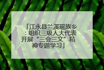 江永县兰溪瑶族乡：组织三级人大代表开展“三会三文”精神专题学习