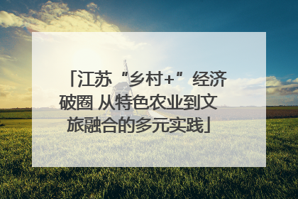 江苏“乡村+”经济破圈 从特色农业到文旅融合的多元实践