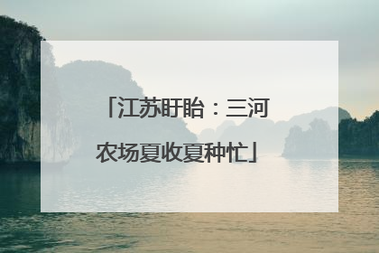 江苏盱眙：三河农场夏收夏种忙