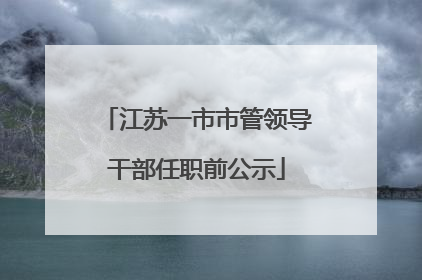 江苏一市市管领导干部任职前公示