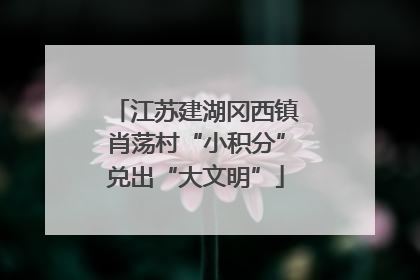 江苏建湖冈西镇肖荡村“小积分”兑出“大文明”