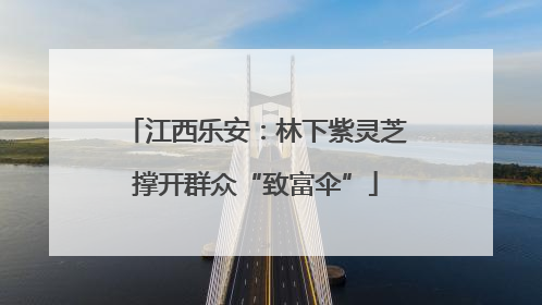 江西乐安：林下紫灵芝撑开群众“致富伞”
