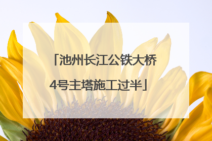 池州长江公铁大桥4号主塔施工过半