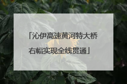 沁伊高速黄河特大桥右幅实现全线贯通