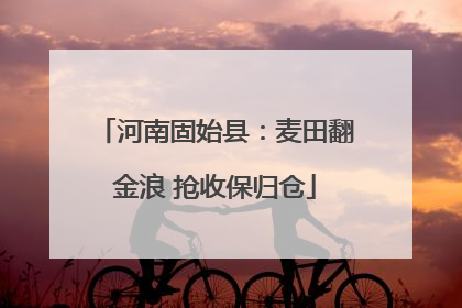 河南固始县：麦田翻金浪 抢收保归仓