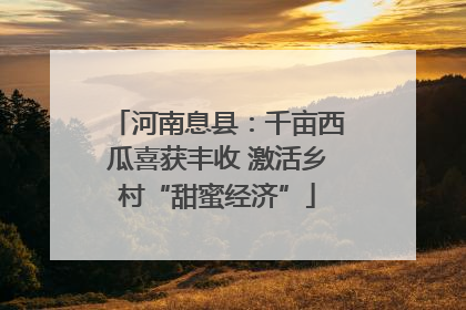河南息县：千亩西瓜喜获丰收 激活乡村“甜蜜经济”