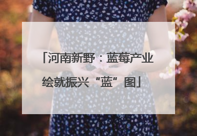 河南新野：蓝莓产业绘就振兴“蓝”图