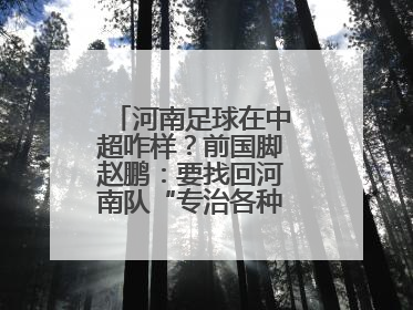 河南足球在中超咋样？前国脚赵鹏：要找回河南队“专治各种不服”的精神