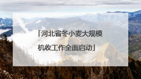 河北省冬小麦大规模机收工作全面启动