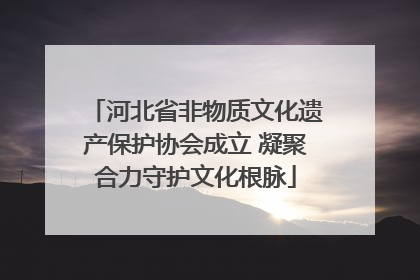 河北省非物质文化遗产保护协会成立 凝聚合力守护文化根脉