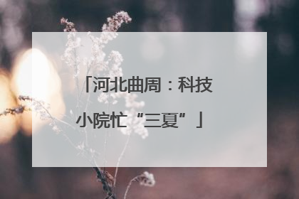 河北曲周：科技小院忙“三夏”