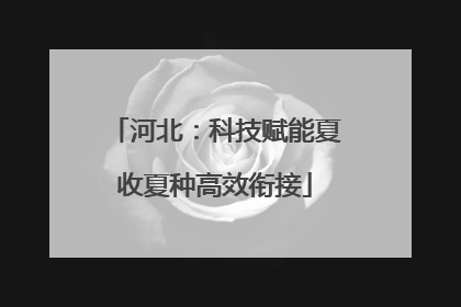 河北：科技赋能夏收夏种高效衔接