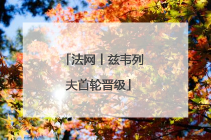 法网丨兹韦列夫首轮晋级