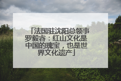 法国驻沈阳总领事罗毅睿：红山文化是中国的瑰宝，也是世界文化遗产