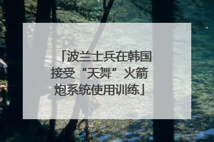 波兰士兵在韩国接受“天舞”火箭炮系统使用训练