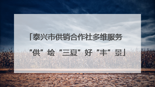 泰兴市供销合作社多维服务 “供”绘“三夏”好“丰”景