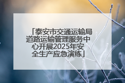 泰安市交通运输局道路运输管理服务中心开展2025年安全生产应急演练