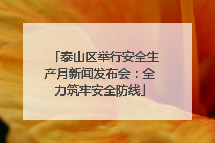 泰山区举行安全生产月新闻发布会：全力筑牢安全防线