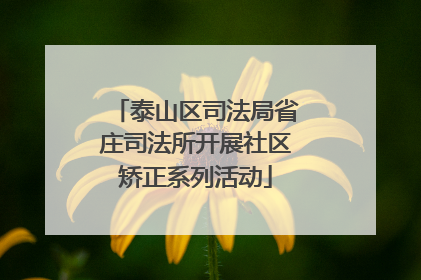 泰山区司法局省庄司法所开展社区矫正系列活动