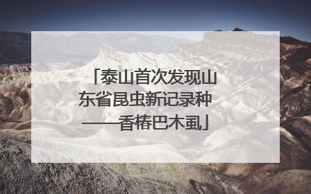 泰山首次发现山东省昆虫新记录种——香椿巴木虱
