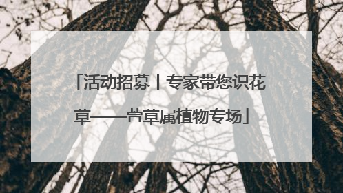 活动招募丨专家带您识花草——萱草属植物专场