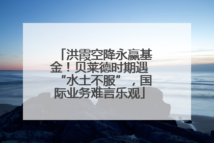 洪霞空降永赢基金！贝莱德时期遇“水土不服”，国际业务难言乐观