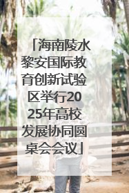 海南陵水黎安国际教育创新试验区举行2025年高校发展协同圆桌会会议