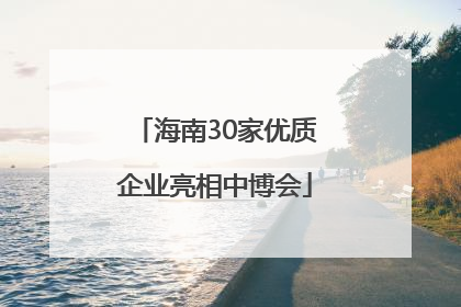 海南30家优质企业亮相中博会
