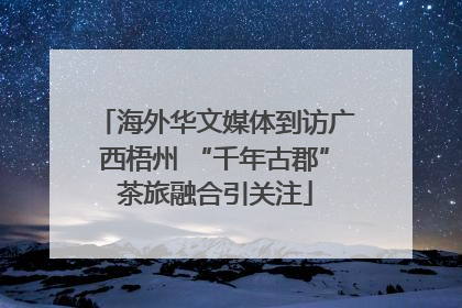 海外华文媒体到访广西梧州 “千年古郡”茶旅融合引关注