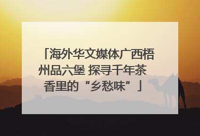 海外华文媒体广西梧州品六堡 探寻千年茶香里的“乡愁味”
