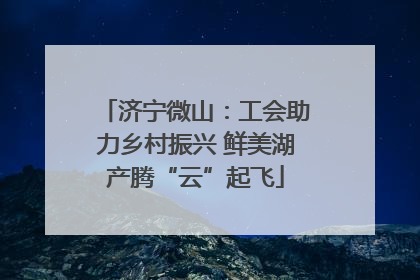 济宁微山：工会助力乡村振兴 鲜美湖产腾“云”起飞