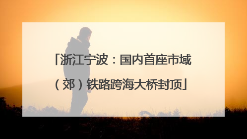 浙江宁波：国内首座市域（郊）铁路跨海大桥封顶