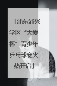 浦东浦兴学区“大爱杯”青少年乒乓球赛火热开启