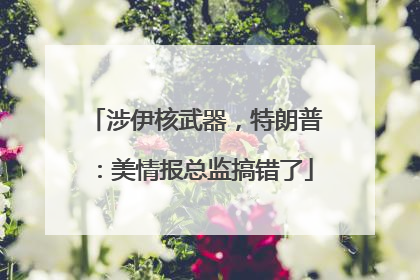 涉伊核武器，特朗普：美情报总监搞错了