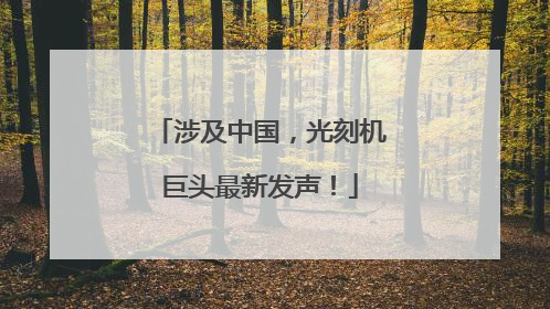 涉及中国，光刻机巨头最新发声！