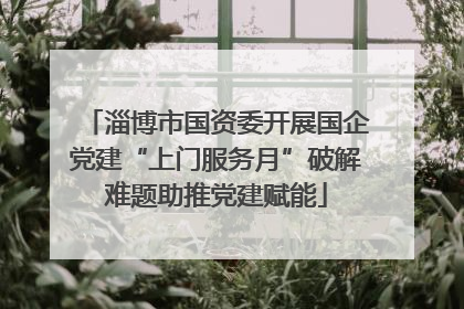 淄博市国资委开展国企党建“上门服务月”破解难题助推党建赋能