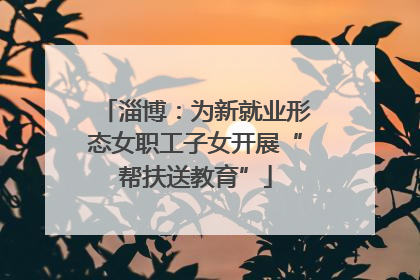 淄博：为新就业形态女职工子女开展“帮扶送教育”