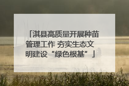 淇县高质量开展种苗管理工作 夯实生态文明建设“绿色根基”