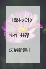 深化检校协作 共谋法治新篇